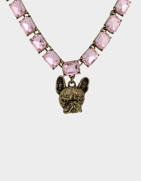 female french bulldog puppy wearing colorful necklace on white background  Stock Photo - Alamy