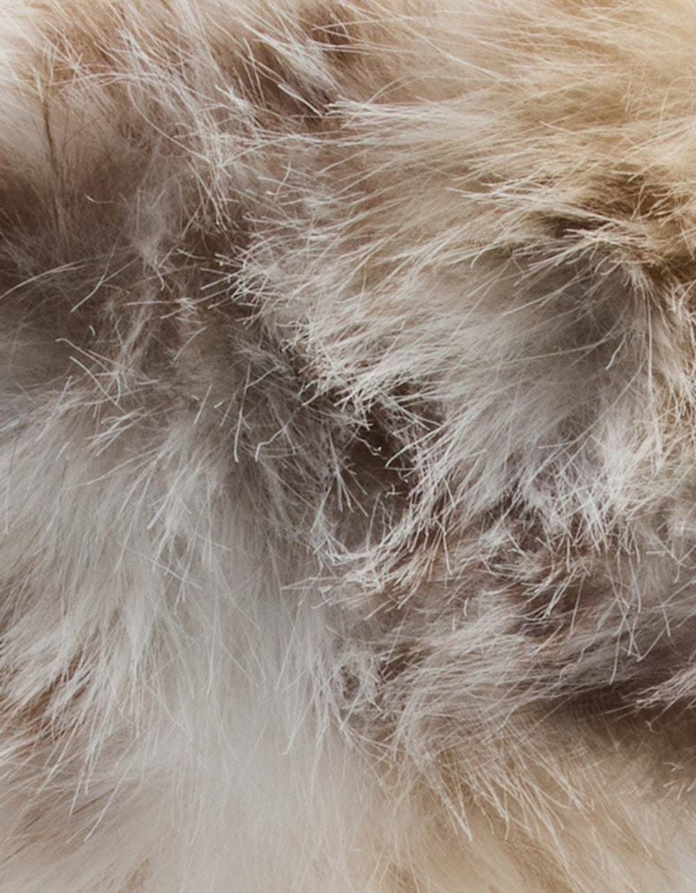 SNOW LEOPARD FAUX FUR HEADBAND IVORY - ACCESSORIES - Betsey Johnson - view 3