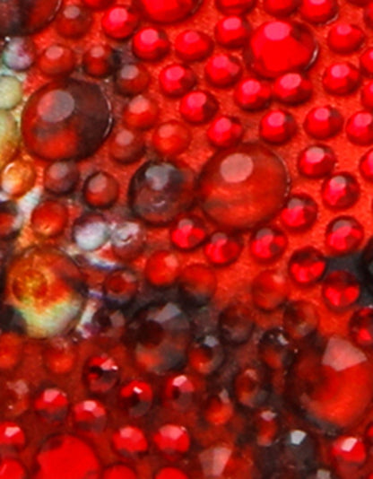 CLARK HEELS BLACK FLOWER MULTI - SHOES - Betsey Johnson