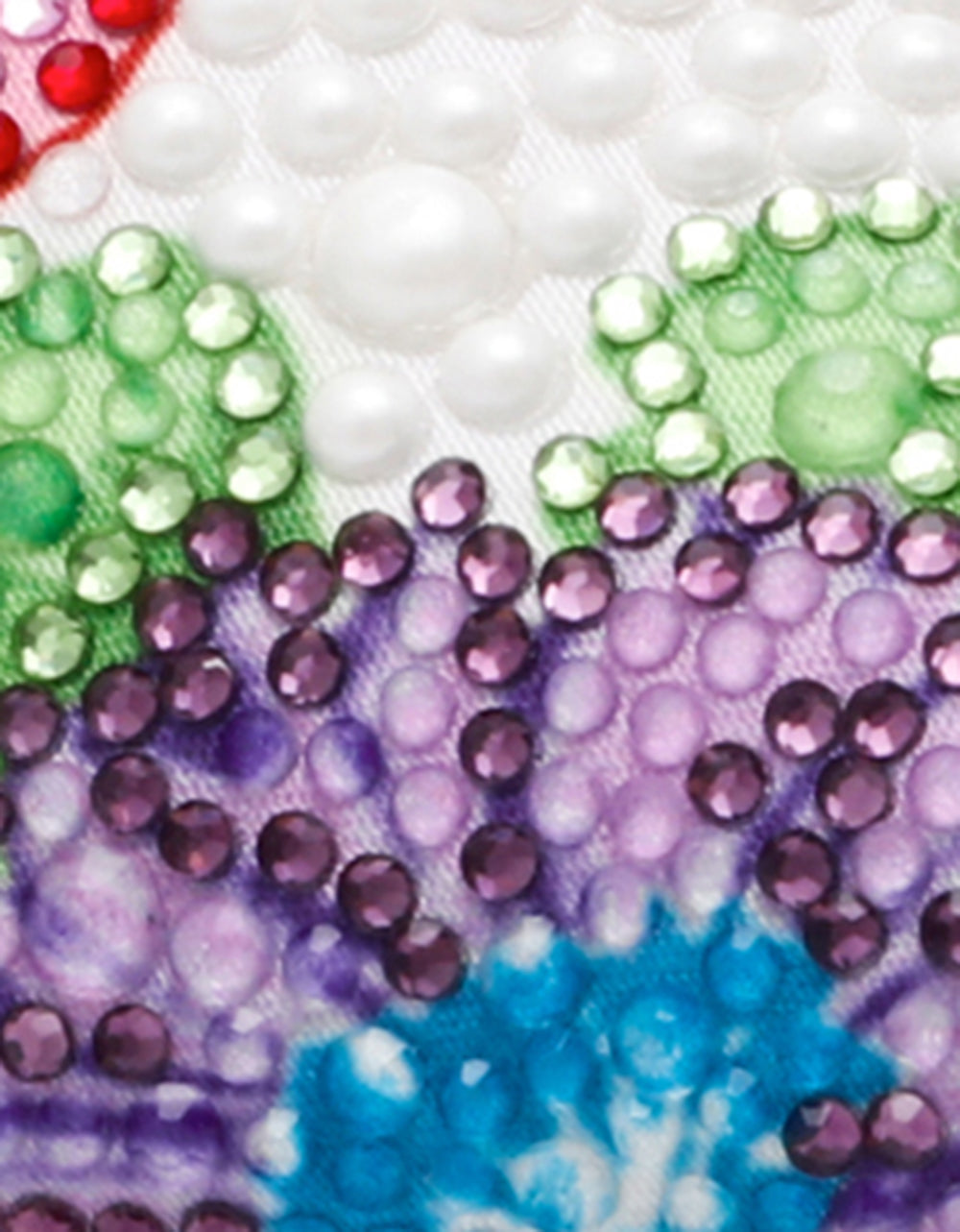 CLARK BRIGHT MULTI - SHOES - Betsey Johnson