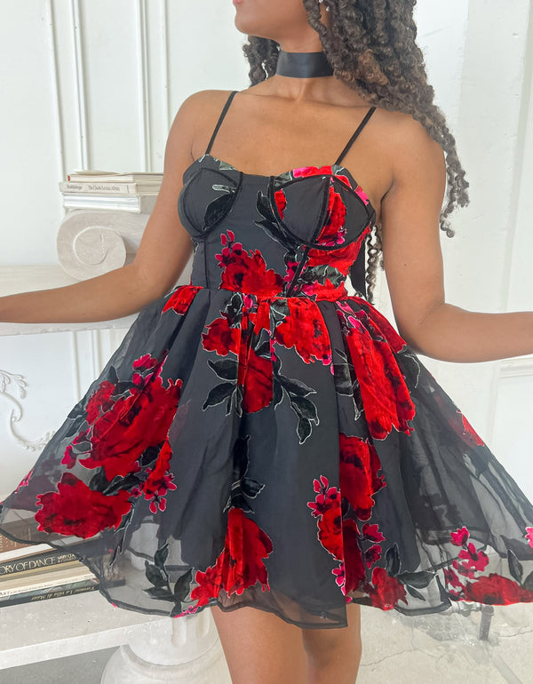 LUCIA MINI DRESS RED MULTI  Rose Print Dresses – Betsey Johnson